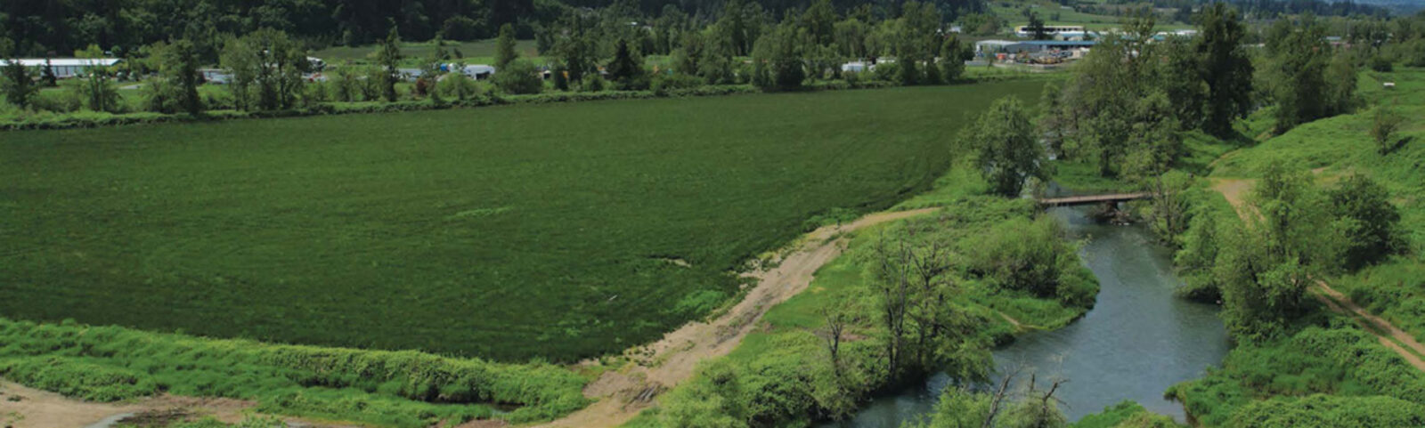 Aerial view of open pasture and the wooded Mill Creek corridor southeast of Salem, Oregon