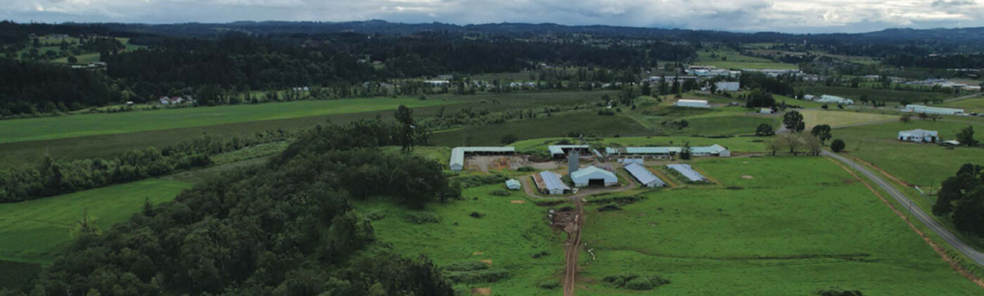 Long view across the site toward the Willamette Valley foothills
