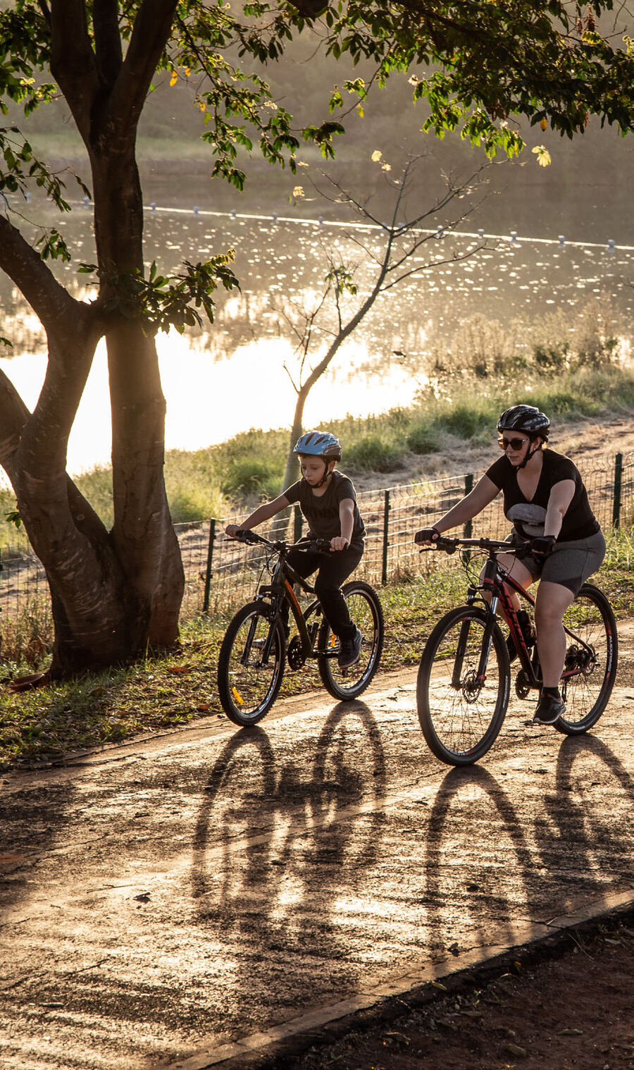 A parent and child riding bikes on a tree-lined path in late afternoon light