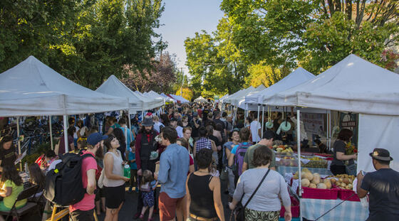 Shoppers walking between white tents at a farmers market